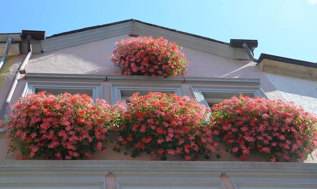 Mosel Roeschen Villa Bernkastel-Kues Luaran gambar